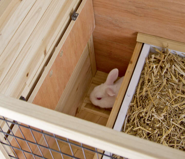 KERBL Kleintierkäfig Indoor Deluxe Doppelstöckig